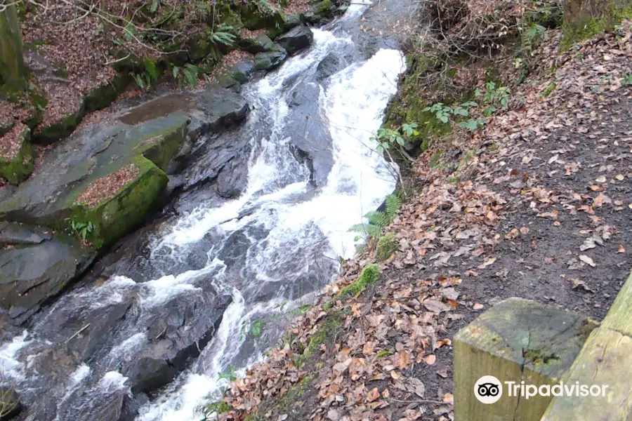 Quarrymill Woodland Park