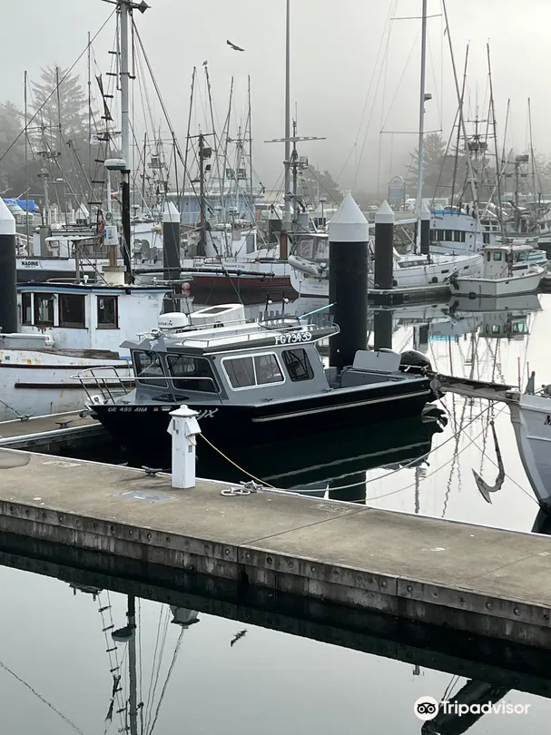 4_Stella's Adventures