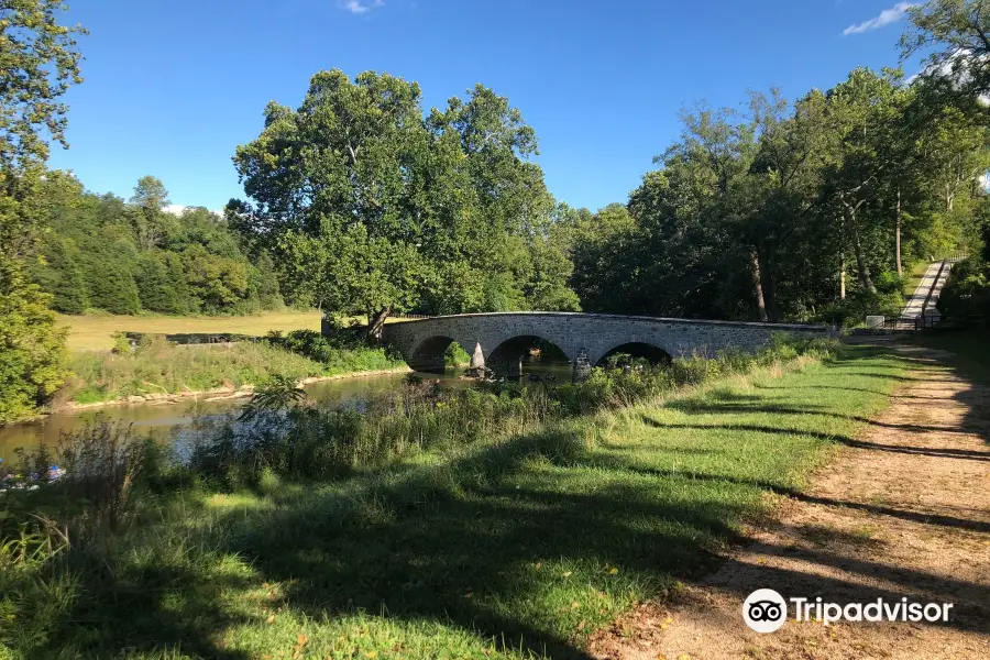 Burnside Bridge