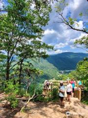 Seneca Rocks Discovery Center