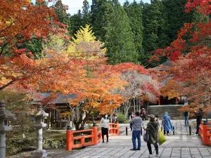 Koyasan