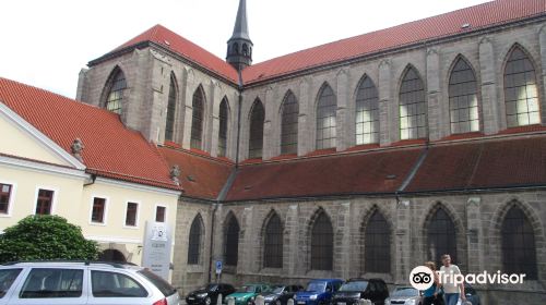 Cathedral of Assumption of Our Lady and St. John the Baptist