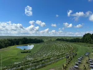 Montaluce Winery & Restaurant
