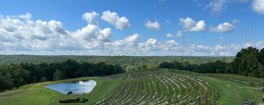 Montaluce Winery & Restaurant