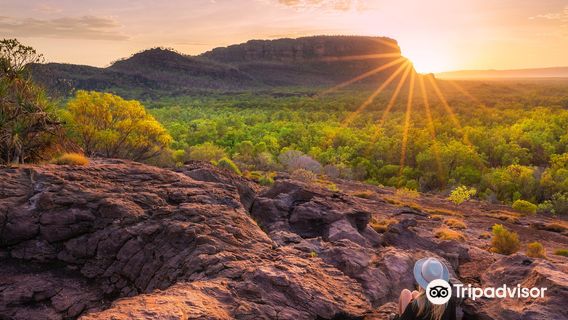 Kakadu