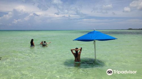 Cozumel Pearl Farm