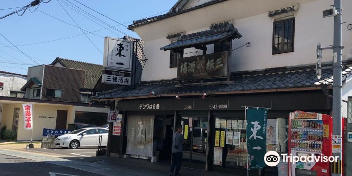 嬉野温泉本通り商店街