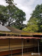 Mamanikkunnu Sri Mahadevi Temple