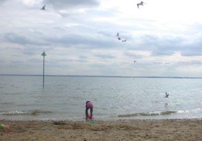 Chalkwell Beach