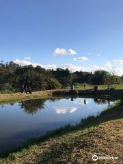 Kalimba Reptile Park