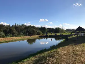 Kalimba Reptile Park