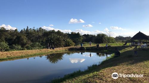 Kalimba Reptile Park