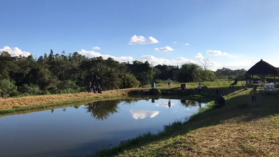 Kalimba Reptile Park