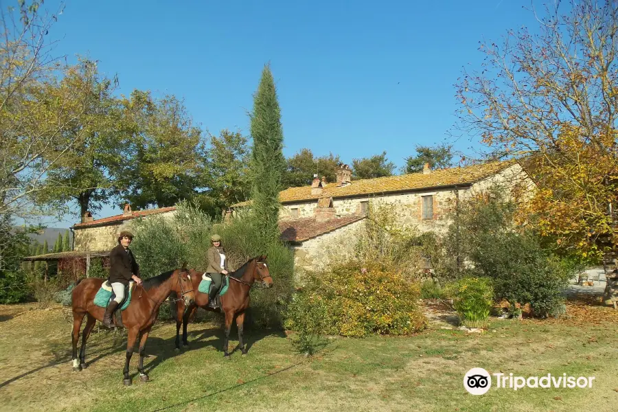 Centro Ippico della Berardenga