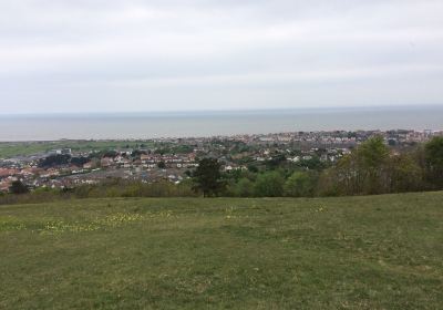 Bryn Euryn Nature Reserve