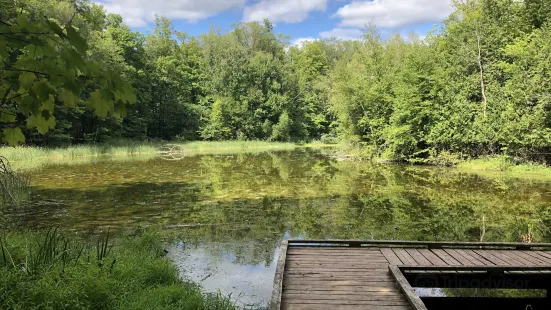 Silver Creek Conservation Area