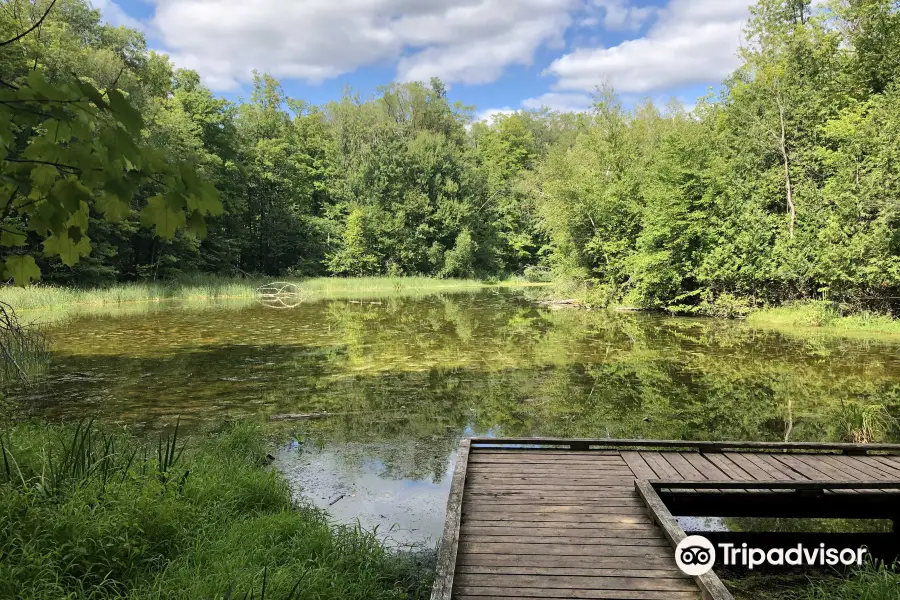 Silver Creek Conservation Area