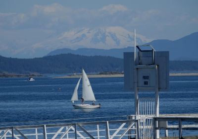 Sidney's Beacon Park