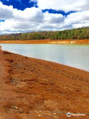 Lake Navarino Forest Park