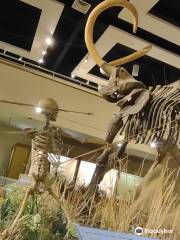 Музей доисторической эпохи Колледжа Восточной Юты