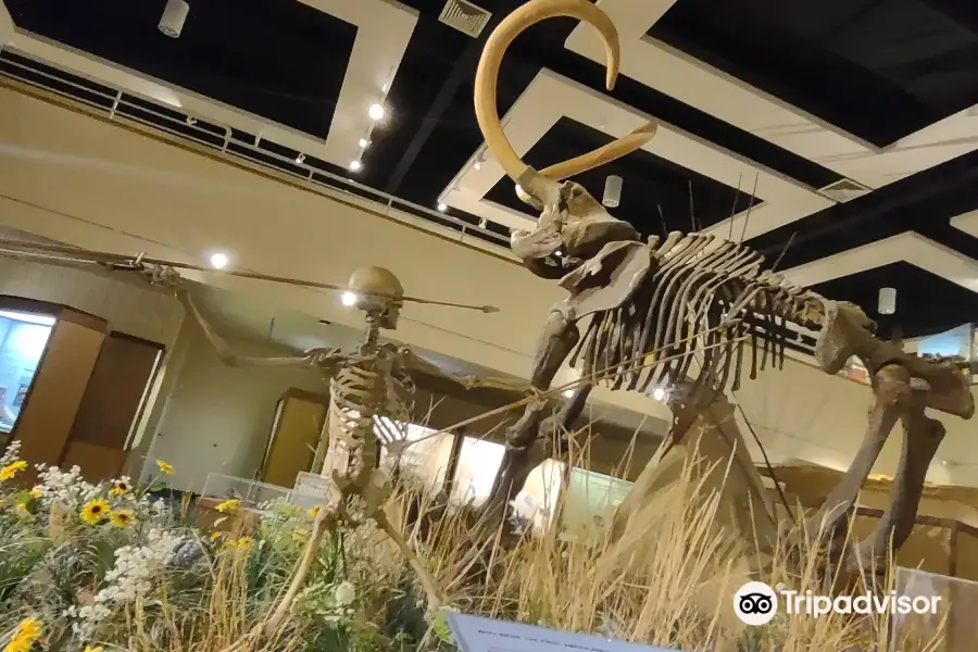 Prehistoric Museum, Utah State University Eastern