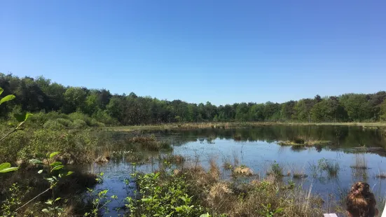 National park Dwingelderveld