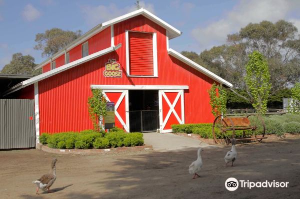 The Big Goose Adventure Farm & Wildlife Park