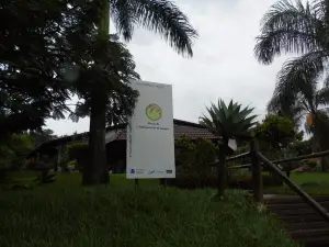 Municipal Park Victório Siquieroli