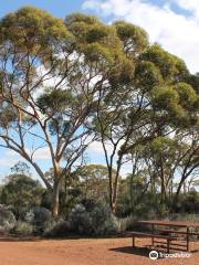 Karlkurla Bushland Park Entrance