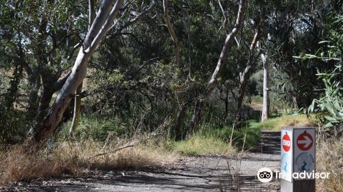 Hindmarsh River Walk