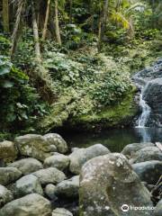 Toro Negro State Forest