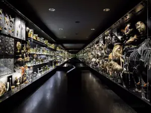 National Museum of Natural History