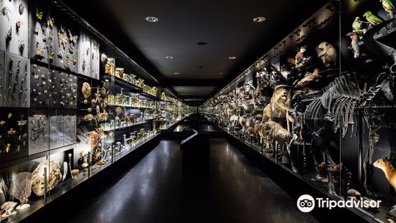 National Museum of Natural History