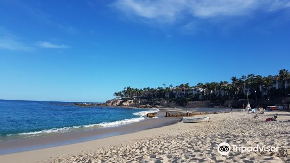 Playa Palmilla (Palmilla Beach)