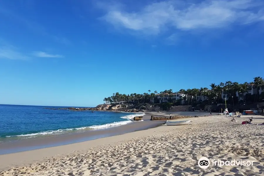 Playa Palmilla (Palmilla Beach)