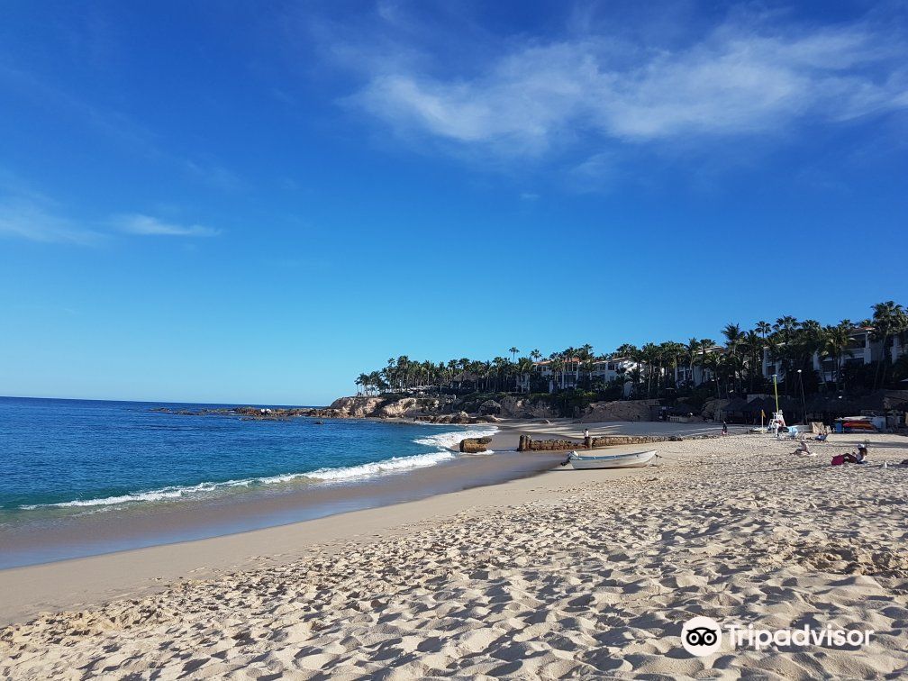 Playa Palmilla (Palmilla Beach)