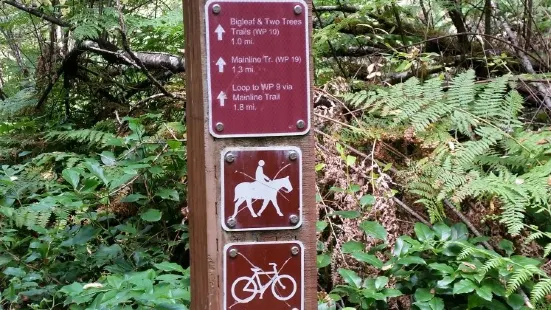 Paradise Valley Conservation Area Parking and Trail Head