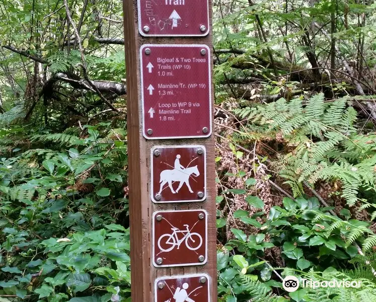 Paradise Valley Conservation Area Parking and Trail Head