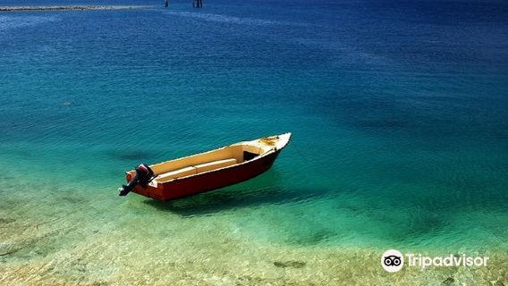 Havelock Island