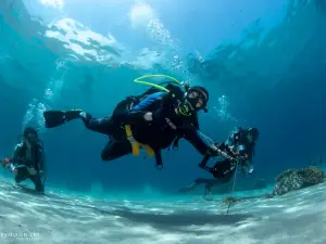 Aquatica Dive | Timor Leste / East Timor