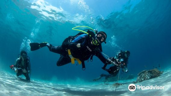 Aquatica Dive | Timor Leste / East Timor