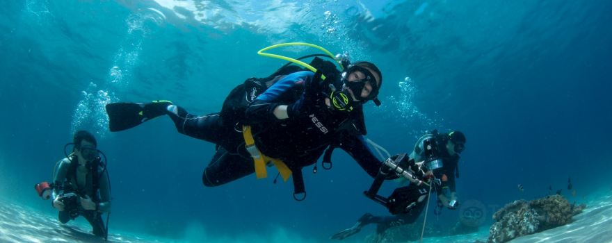 Aquatica Dive | Timor Leste / East Timor
