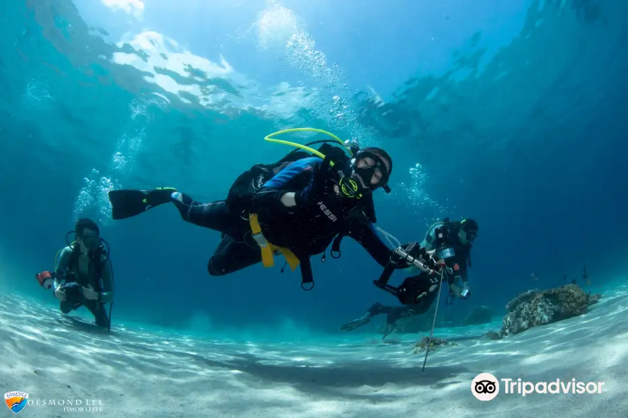 Aquatica Dive | Timor Leste / East Timor