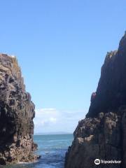 Tenby Water Sports