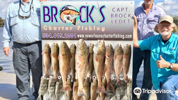 Brock's Charter Fishing