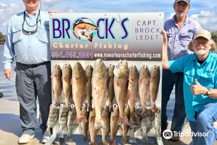 Brock's Charter Fishing