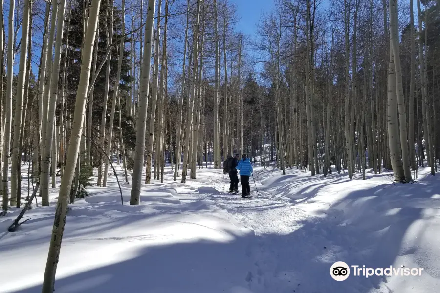 Taos Snowshoe Adventures