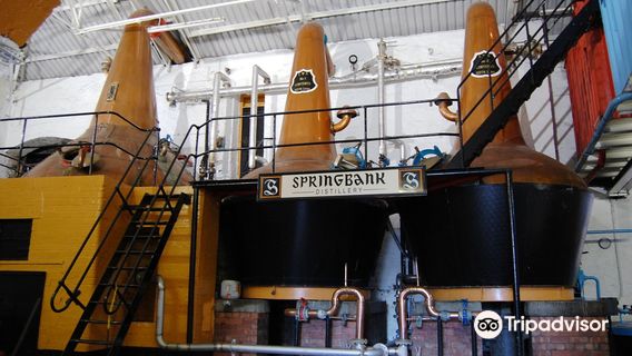 Springbank Distillery