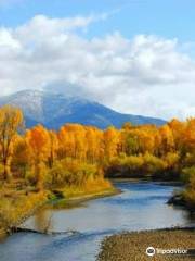 Snake River Angler and Scenic Float Trips