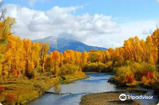 Snake River Angler and Scenic Float Trips